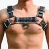 Mens Leather Harness